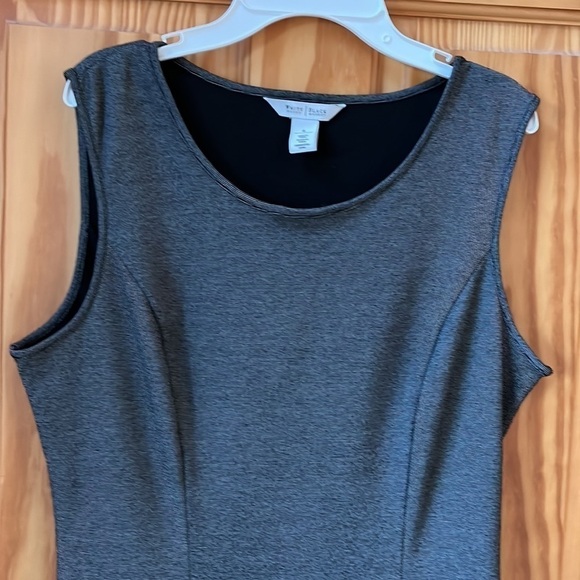 - WHBM Dress - Size 6 - Picture 4 of 14